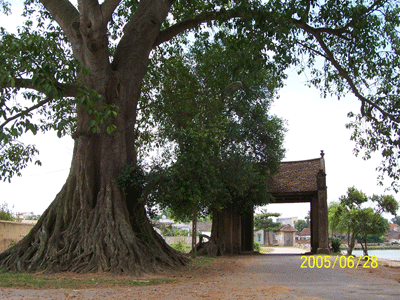 Gate of Mông Phụ Village
